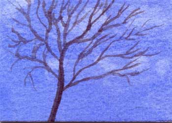"Oak Tree" by Jean Johnson, Madison WI - Watercolor
